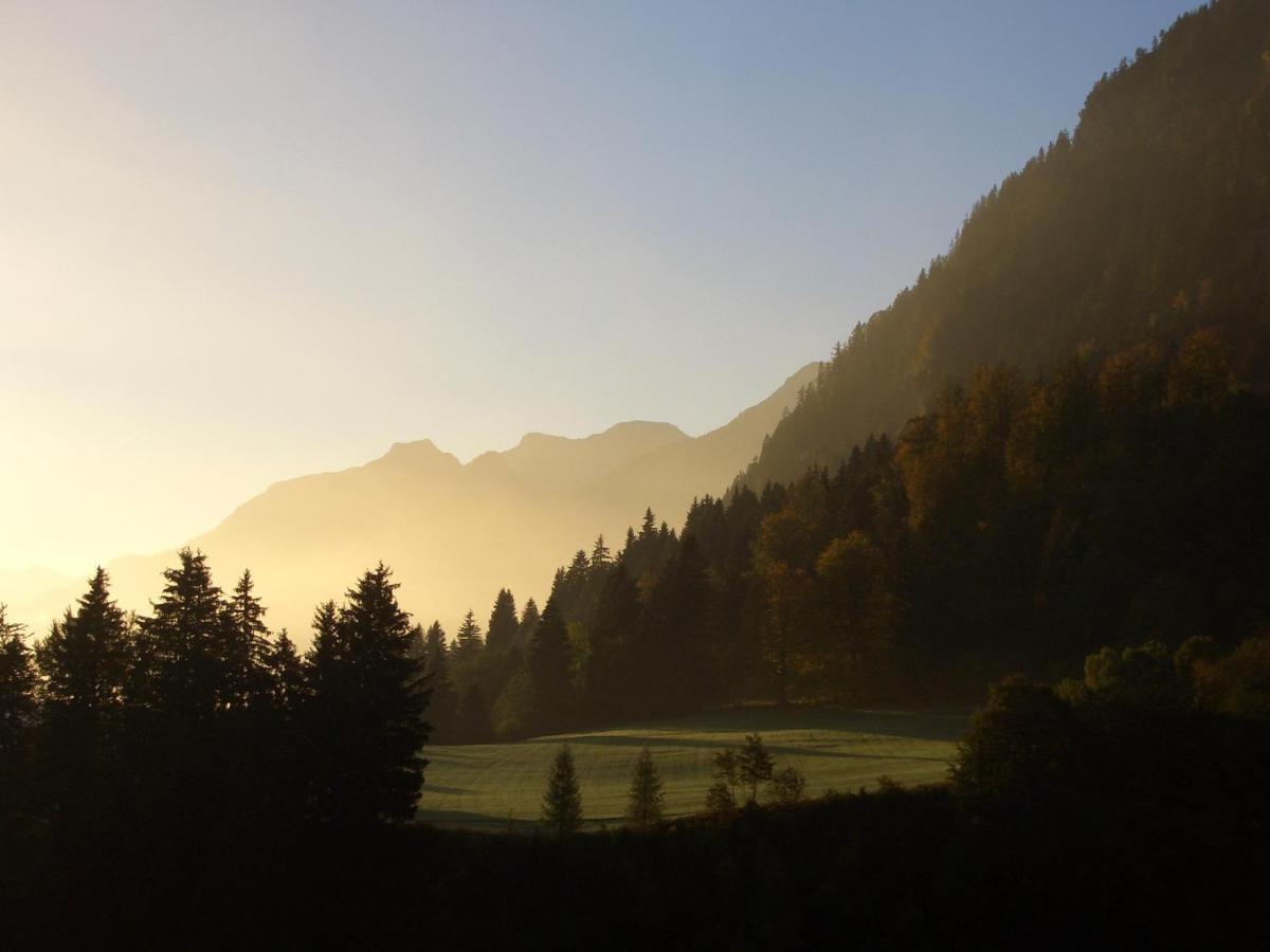 Apartament Chalet Edelweiss Pfronten Zewnętrze zdjęcie